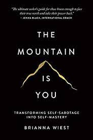 The Mountain Is You: Transforming Self-Sabotage Into Self Mastery Book PDF download for free
