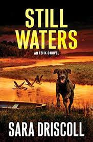 Still-Waters-Book-PDF-download-for-free