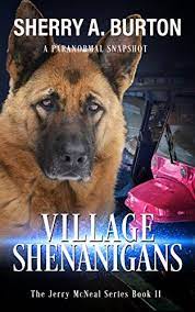 Village-Shenanigans-Book-PDF-download-for-free