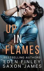 Up in Flames Book PDF download for free